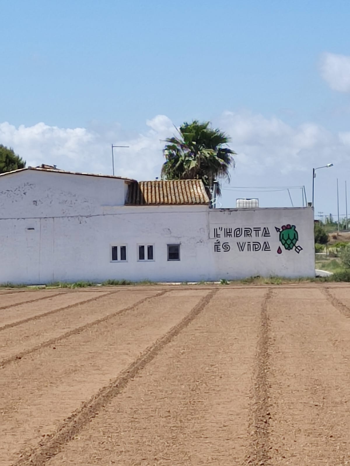 font murtera sedaví