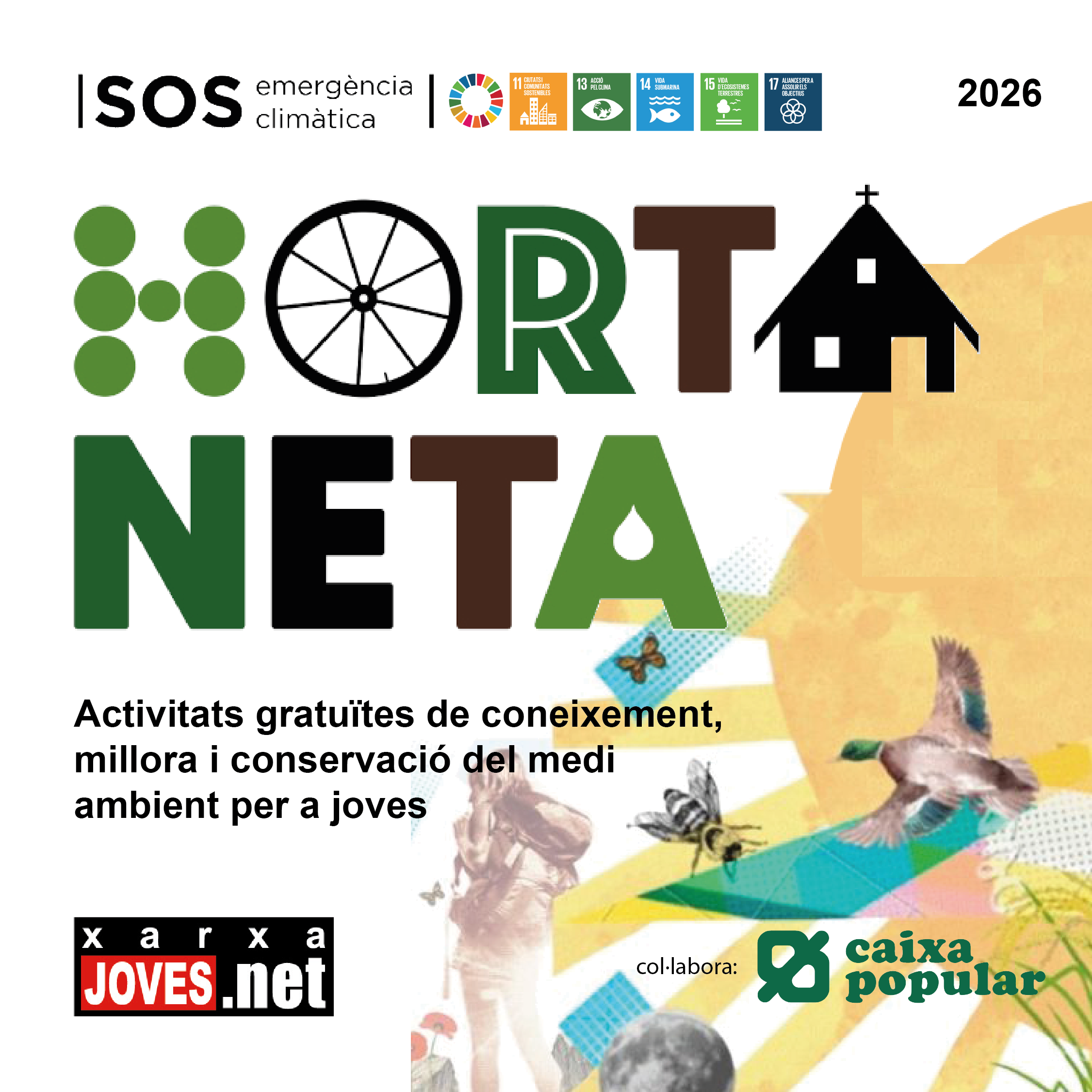 Horta Neta 2026