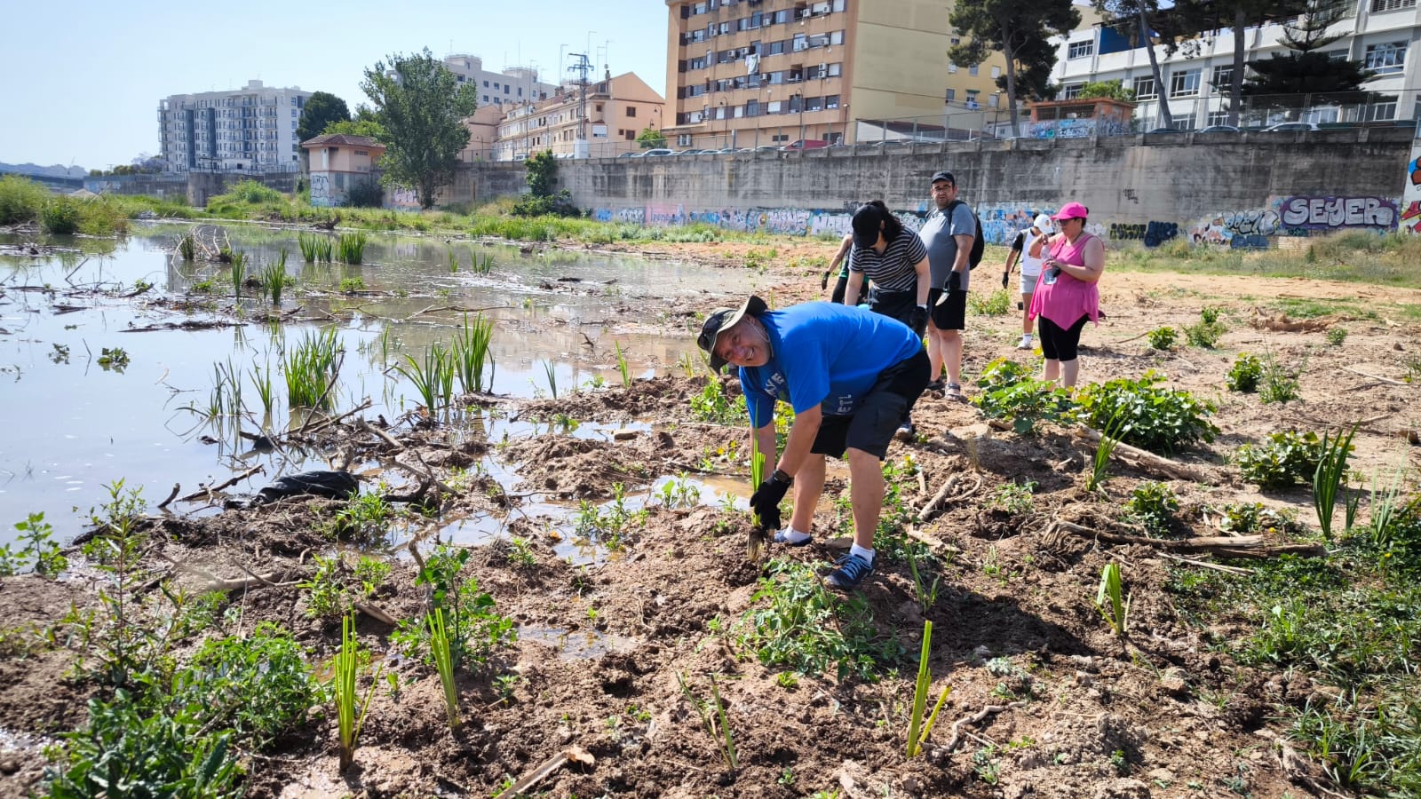plantació 8
