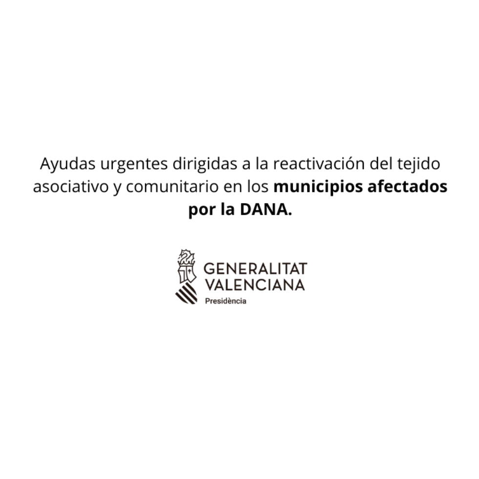 Ajudes DANA, Associacions juvenils, Teixit associatiu