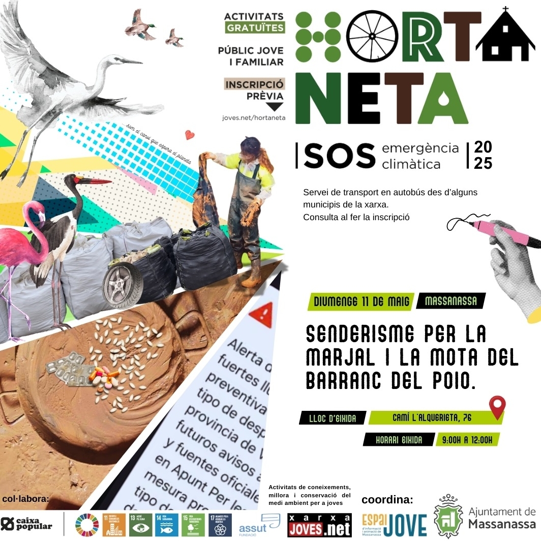 Horta Neta 2025