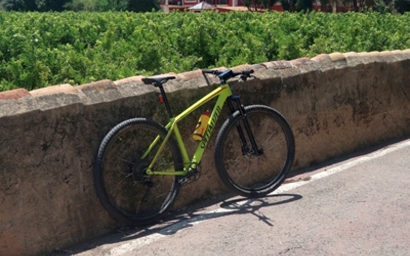 foto ruta horts picanya
