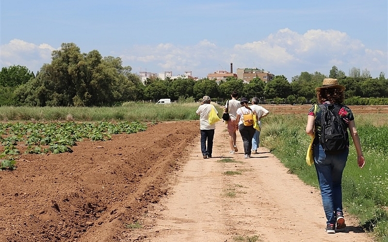 foto huerta de Aldaia